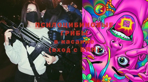 не бодяженный Осинники