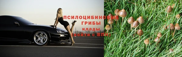 спиды Осташков
