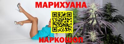 индика Бийск