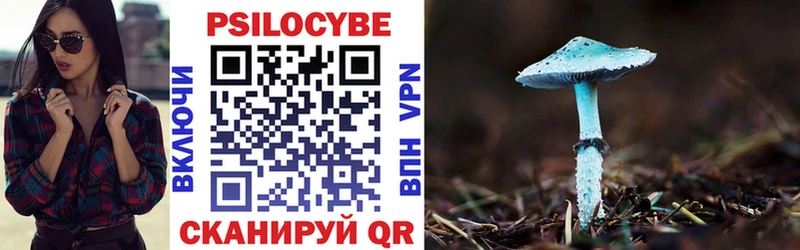 Псилоцибиновые грибы Cubensis Братск