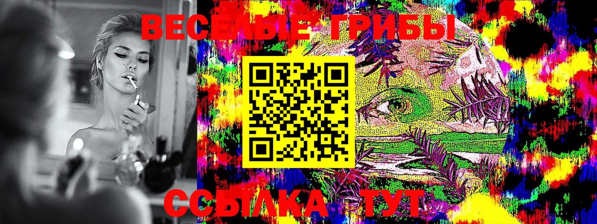 Псилоцибиновые грибы Psilocybe  закладки  Братск 