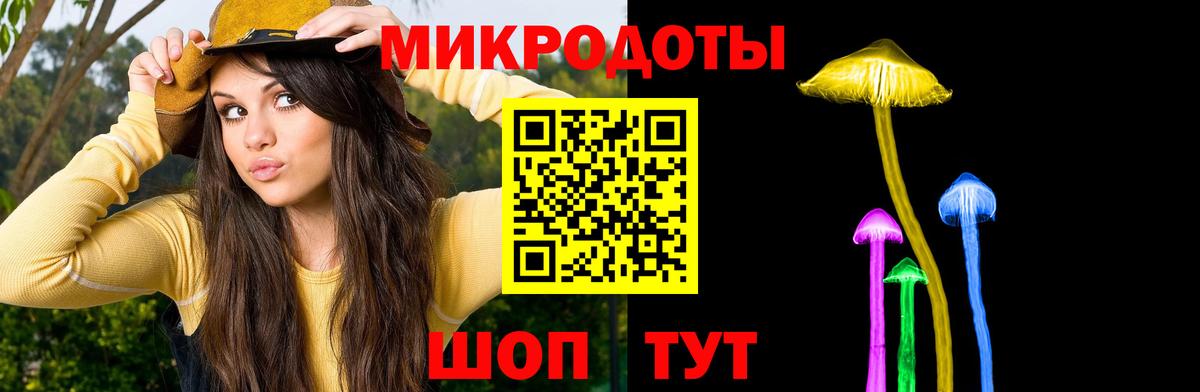 Галлюциногенные грибы Psilocybe Братск
