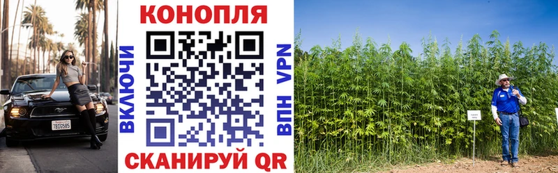 ОМГ ОМГ маркетплейс Братск Бошки Шишки OG Kush продажа наркотиков